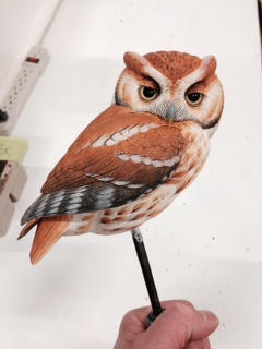 Screech Owl Class last March